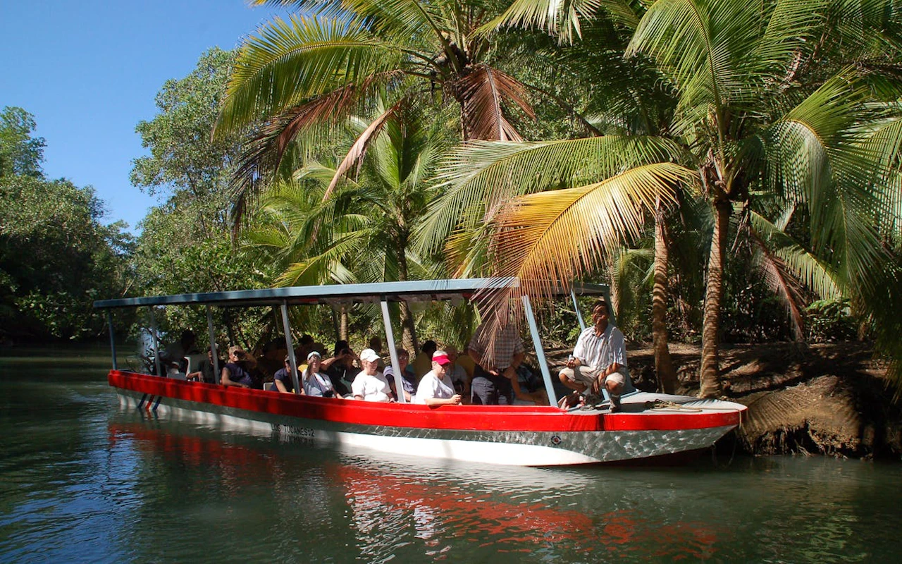 Isla Damas Mangrove Estuary Boat Tour with Lunch and Hotel Transfers from Manuel Antonio