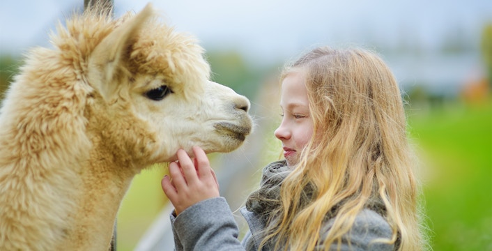 Farm In The City Tickets