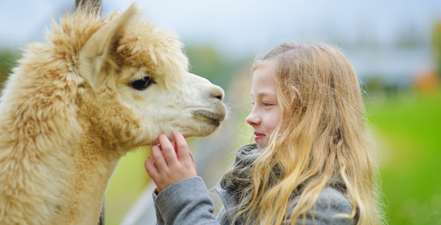 Bilete Farm In The City