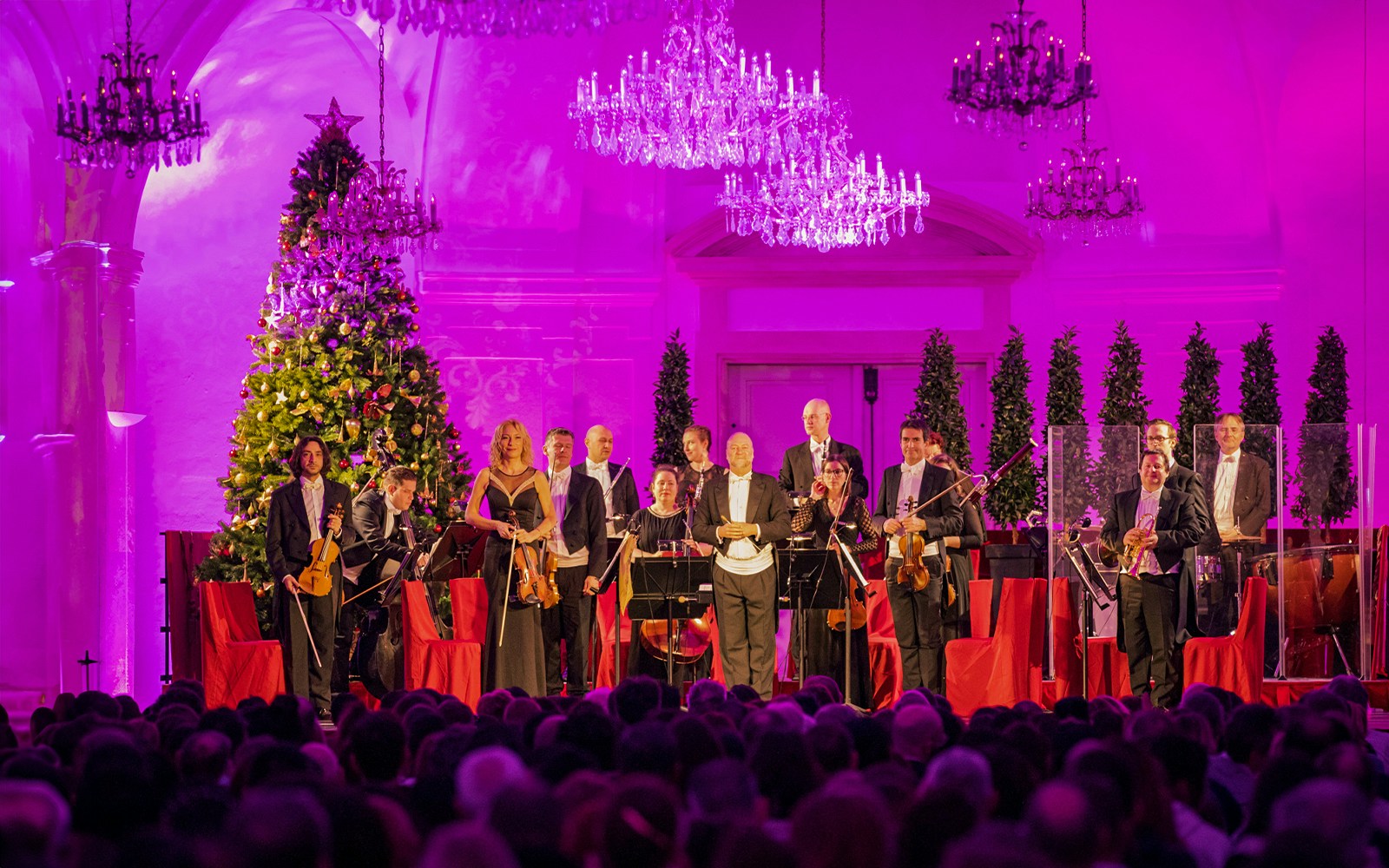 Orchestra performing at Schonbrunn Palace concert with festive decorations.