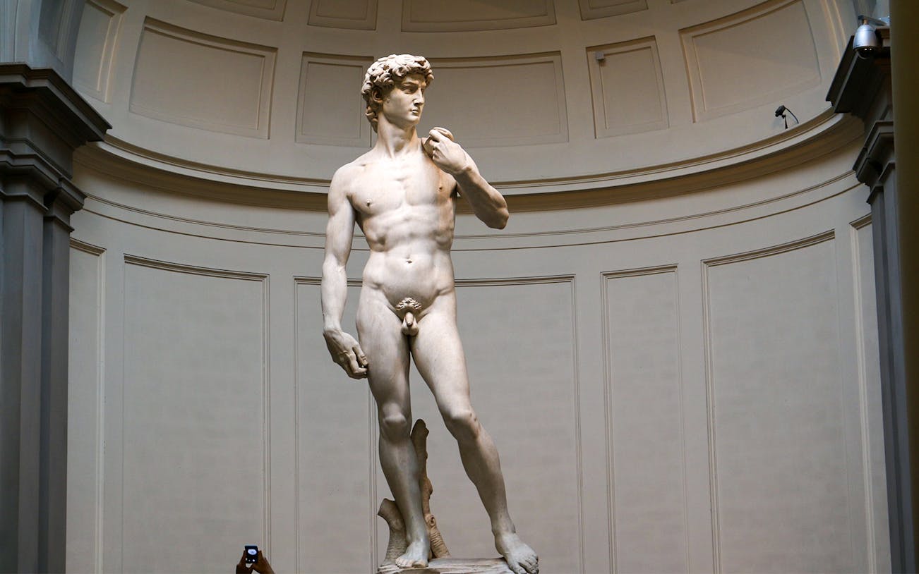 Statue of David at Accademia Gallery, Florence, part of skip-the-line tour.
