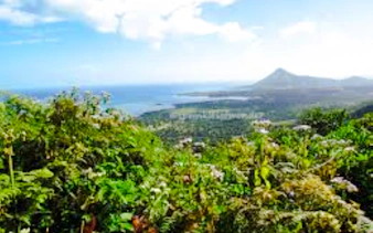 hız teknesiyle mauritius'ta yunus gözlem turu ve güneybatı turu – öğle yemeği ve otel transferleri dahil-3