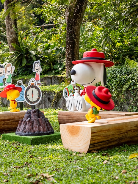 Snoopy and Beagle Scouts display at Singapore Zoo with forest backdrop.