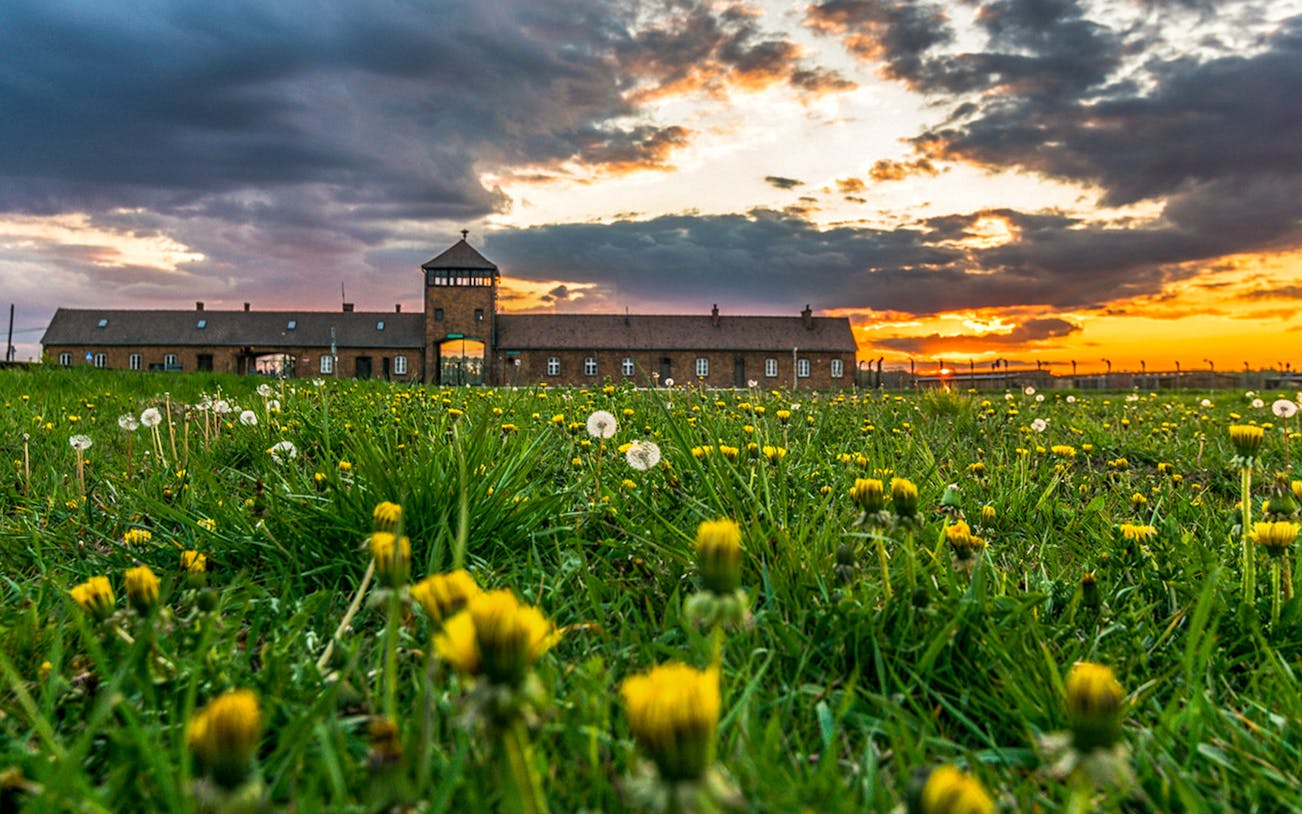 Auschwitz entrance at sunset with field of yellow flowers in foreground.