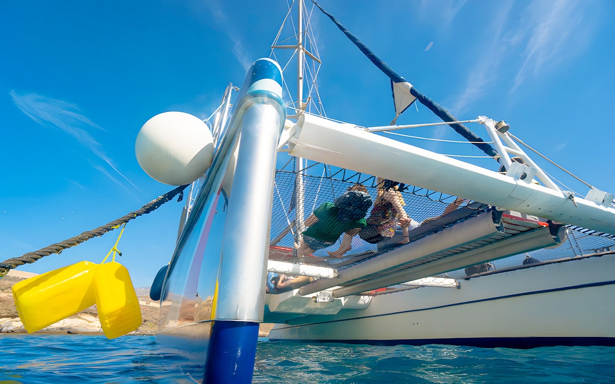 People relaxing on a catamaran net during a whale and dolphin watching cruise.