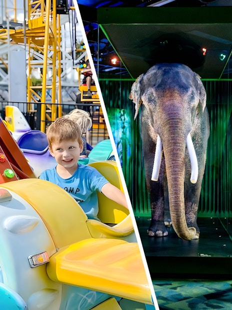 Child enjoying a colorful airplane ride at Luna Park.