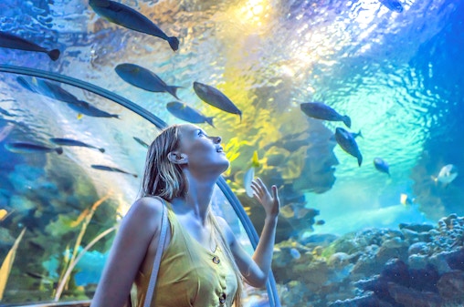 Аквариум и подводный зоопарк Дубая с билетами в Бухту Пингвинов