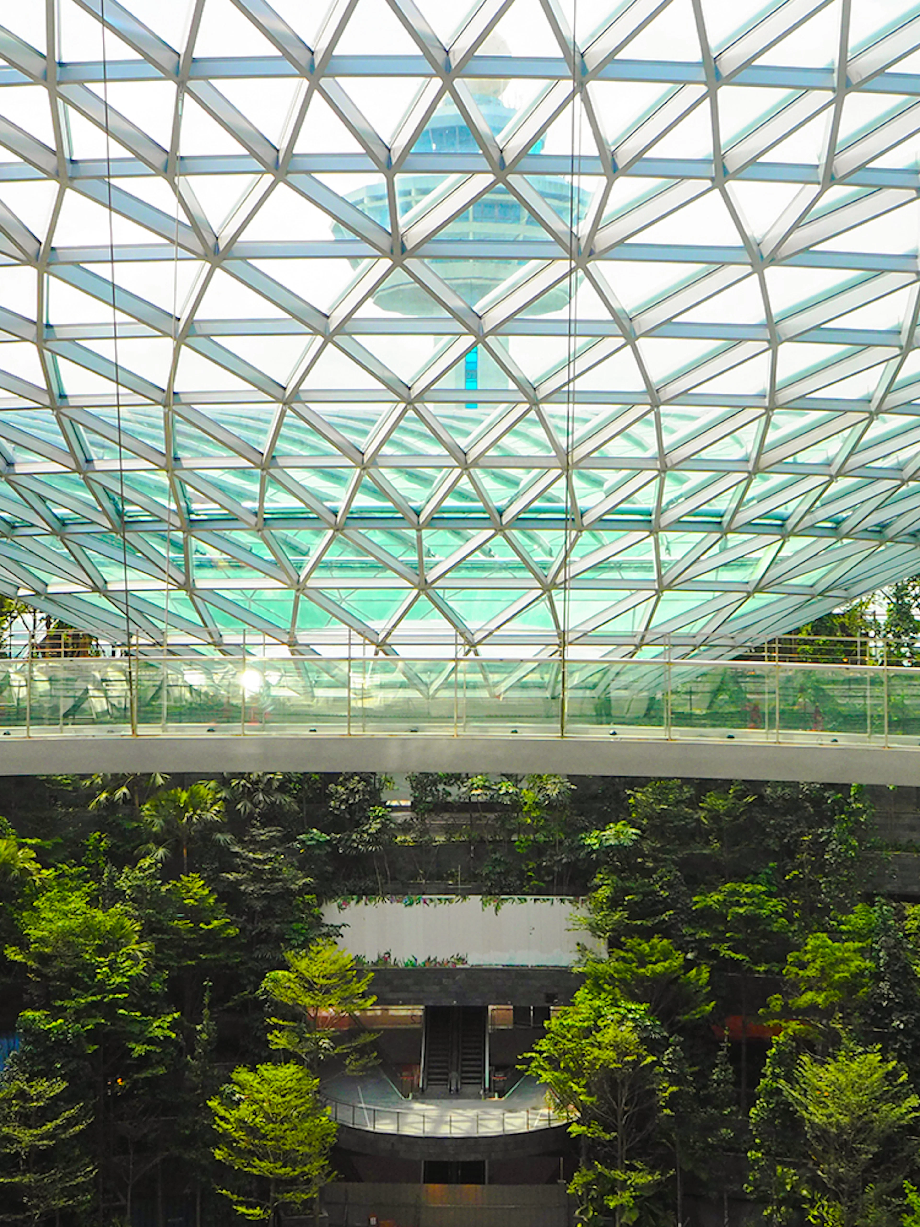 Canopy Bridge at Canopy Park, Jewel Changi, surrounded by lush greenery and glass roof.