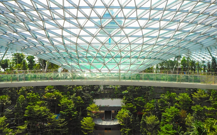 Canopy Bridge at Canopy Park, Jewel Changi, surrounded by lush greenery and glass roof.