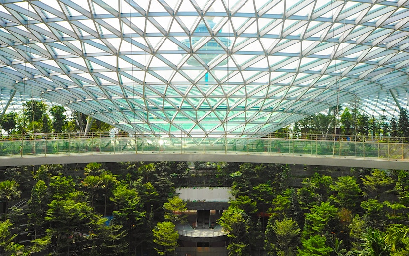 Canopy Bridge at Canopy Park, Jewel Changi, surrounded by lush greenery and glass roof.