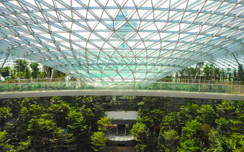 Canopy Bridge at Canopy Park, Jewel Changi, surrounded by lush greenery and glass roof.