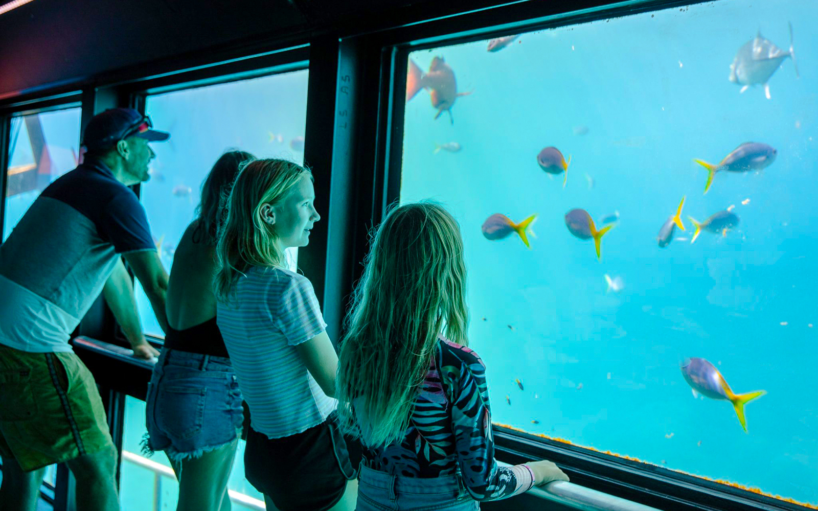 People observing fish through windows on a semi-submersible at the Great Barrier Reef.