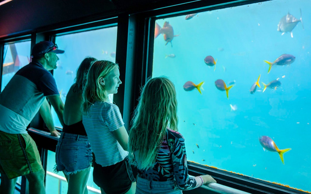 People observing fish through windows on a semi-submersible at the Great Barrier Reef.