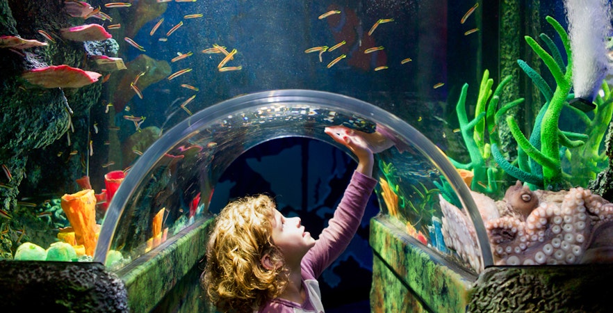 Lunar New Year Melbourne