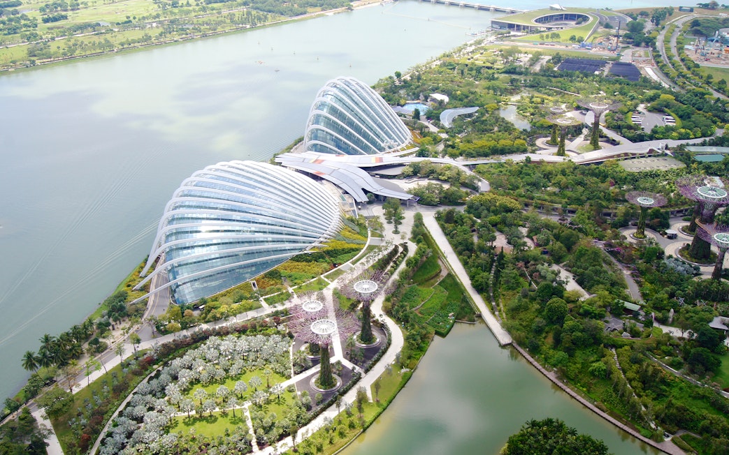 Gardens by the Bay view from Marina Bay Sands SkyPark, showcasing Supertree Grove and conservatories.