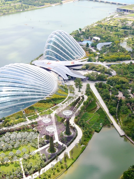 Gardens by the Bay view from Marina Bay Sands SkyPark, showcasing Supertree Grove and conservatories.