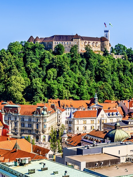 Ljubljana Castle atop a forested hill overlooking the city rooftops.
