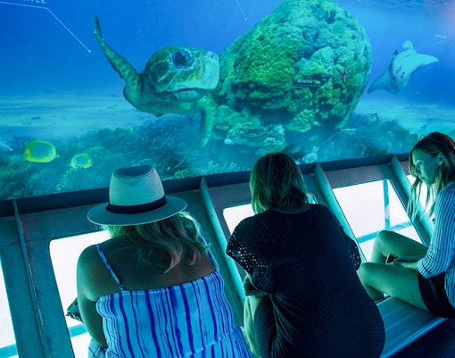 People observing marine life from a semi-submersible at the Great Barrier Reef.