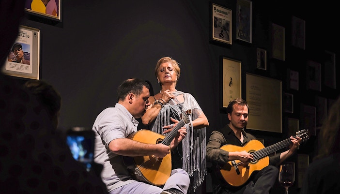 Fado show in Porto