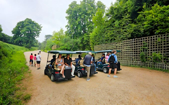 Tourists on golf carts during Versailles guided tour through lush gardens.