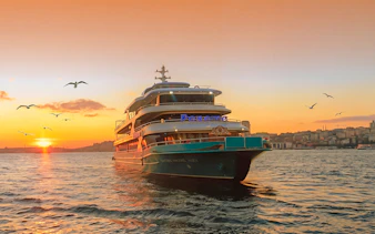 Cruise ship on Bosphorus at sunset with city skyline and seagulls.