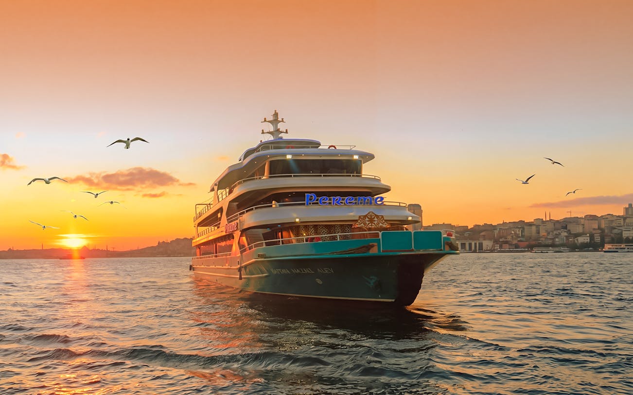 Cruise ship on Bosphorus at sunset with city skyline and seagulls.