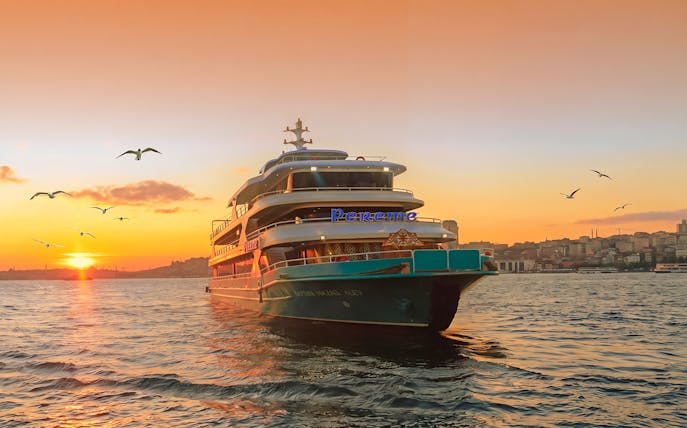 Cruise ship on Bosphorus at sunset with city skyline and seagulls.