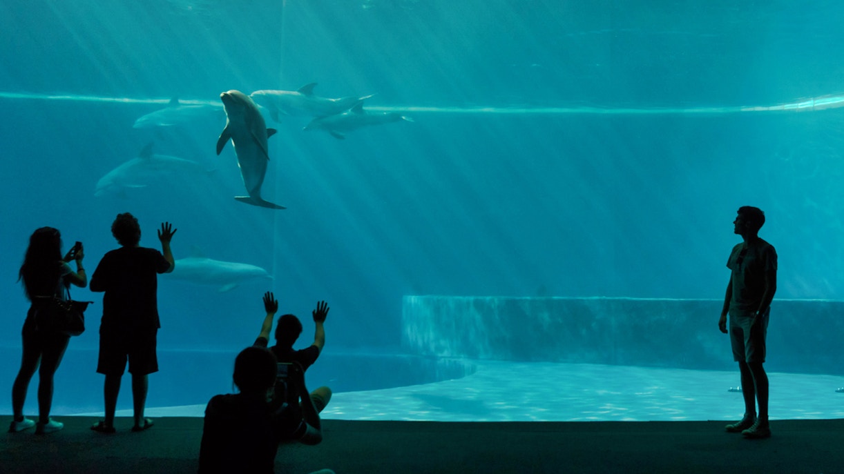 visita acuario de génova