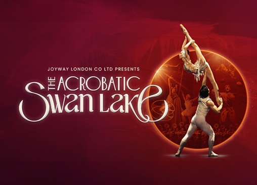 The Acrobatic Swan Lake