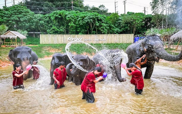 People bathing elephants at Kerchor Elephant Family in Phuket.