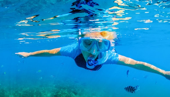 Snorkeler exploring Blue Lagoon, Croatia with fish swimming nearby.