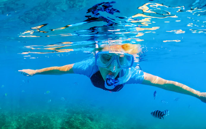 Snorkeler exploring Blue Lagoon, Croatia with fish swimming nearby.