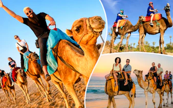 Camel ride along Souss River with tourists in Agadir.