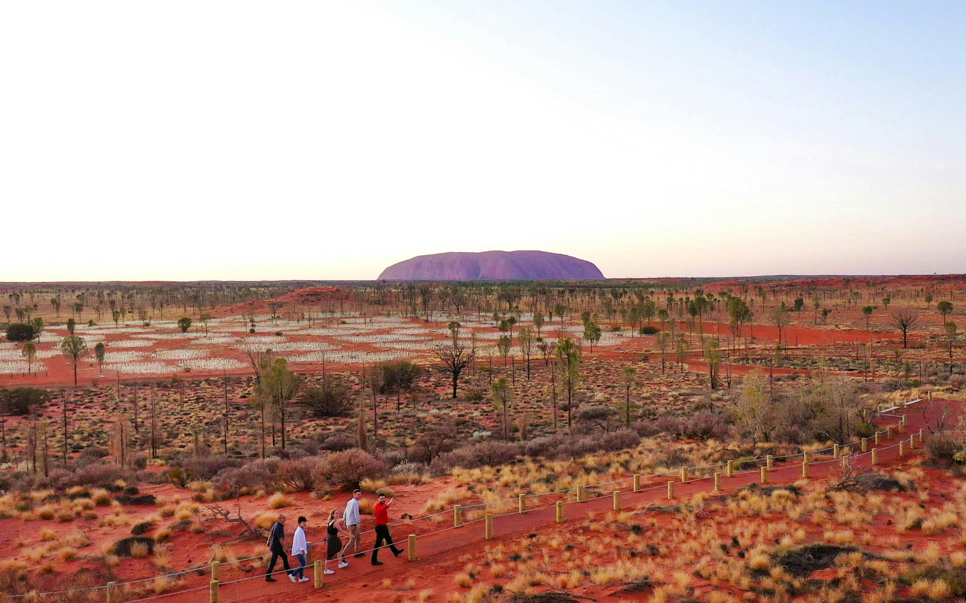Uluru at sunrise with visitors walking through the Field of Light installation in Australia.