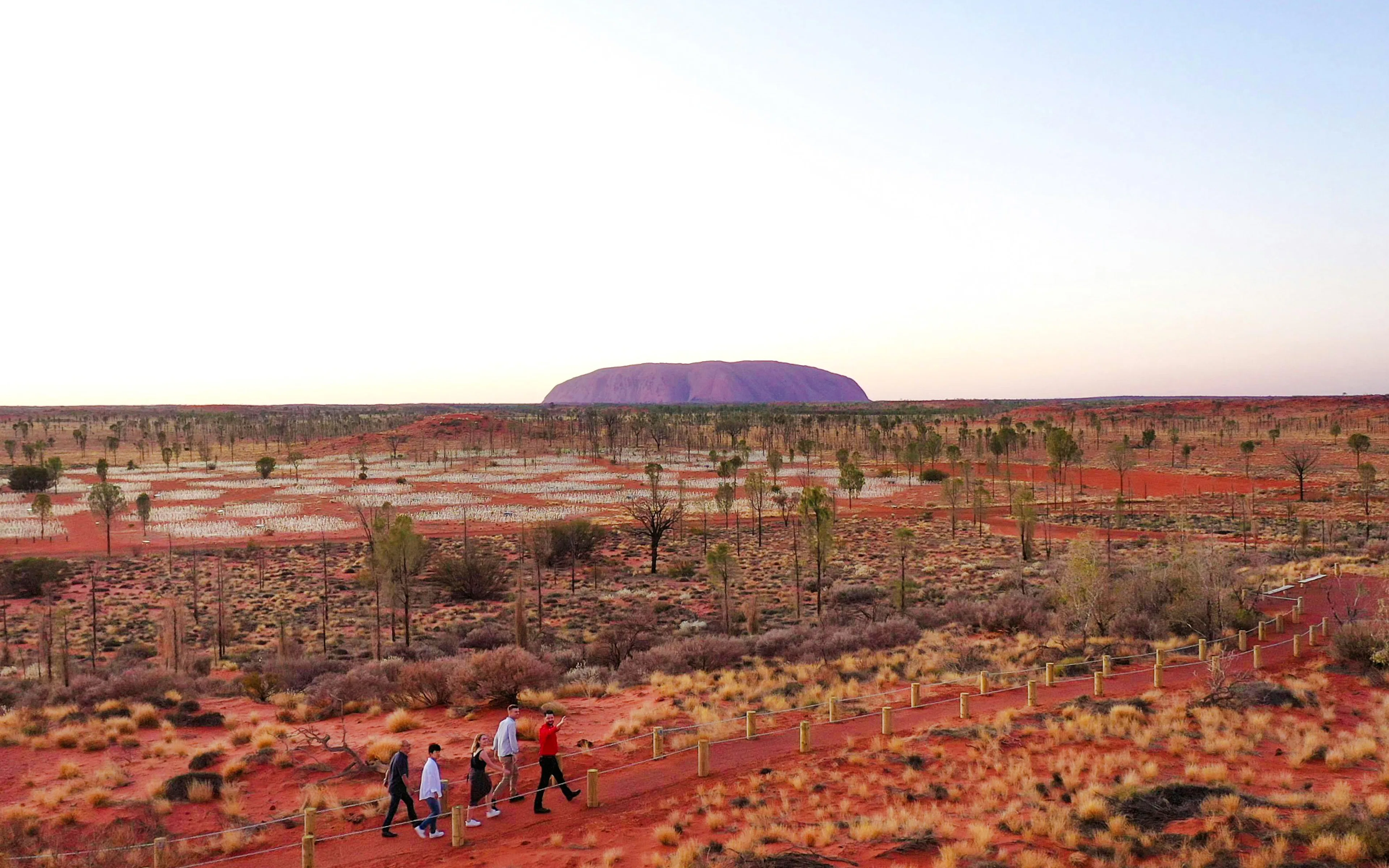Uluru at sunrise with visitors walking through the Field of Light installation in Australia.