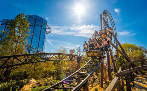 1-tagesticket für den europa-park - pk1 2026/ 2027-1