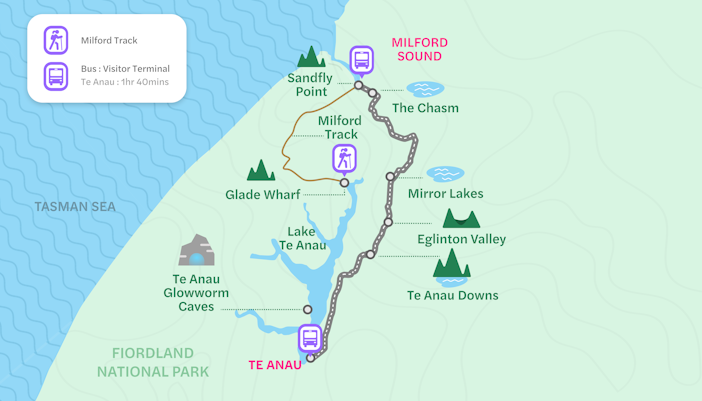 Milford Sound tours from Te Anau