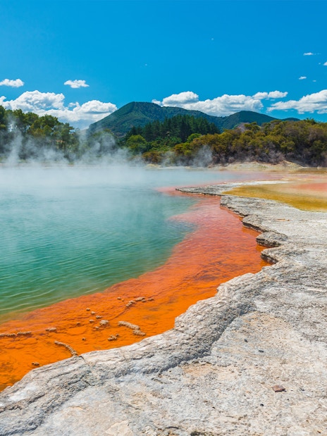 Champagne Lake's vibrant colors and geothermal steam at Rotorua Wai-O-Tapu, New Zealand.