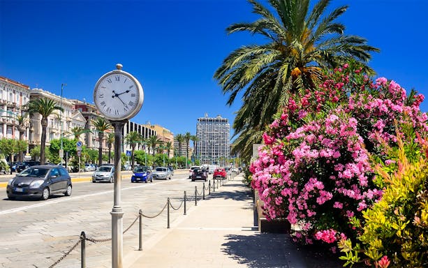 Street view in Cagliari with a clock, palm trees, and blooming flowers, related to Nora tour.