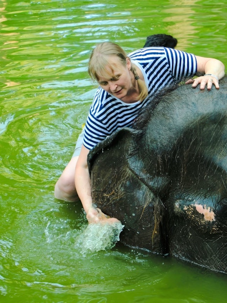 Tourist scrubbing elephant in water at Lombok Wildlife Park Elephant Bath Experience.