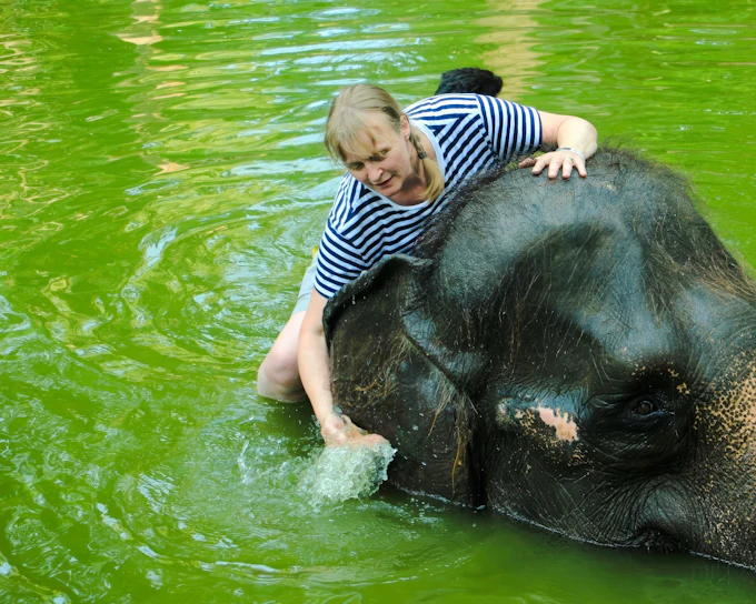Lombok Wildlife Park Tickets with Elephant Bath Experience