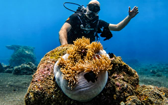 usat liberty shipwreck & coral garden beginner dives with private guide and round-trip hotel transfers-3