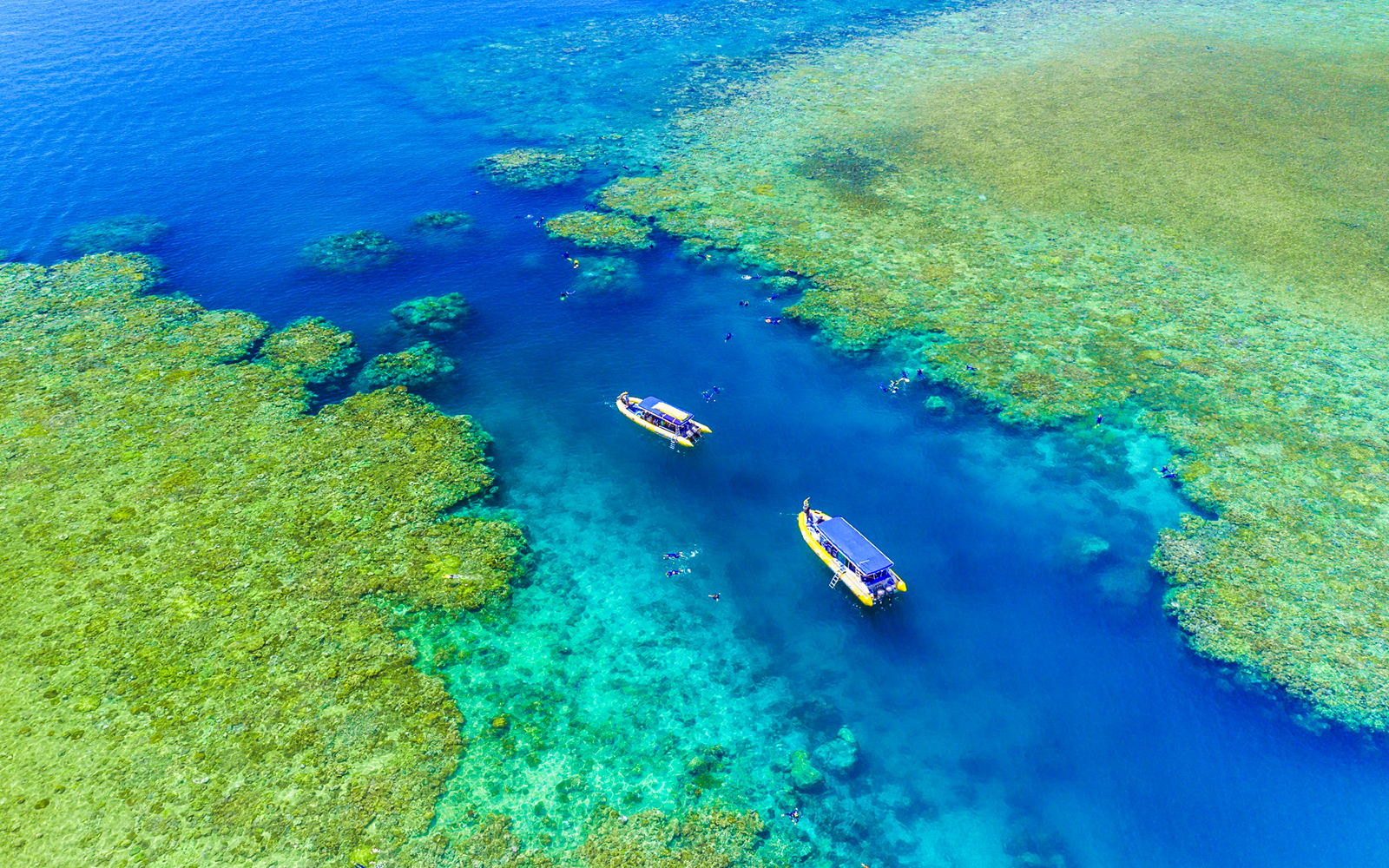 Aerial view of snorkelers near boats in the Whitsundays, Australia.