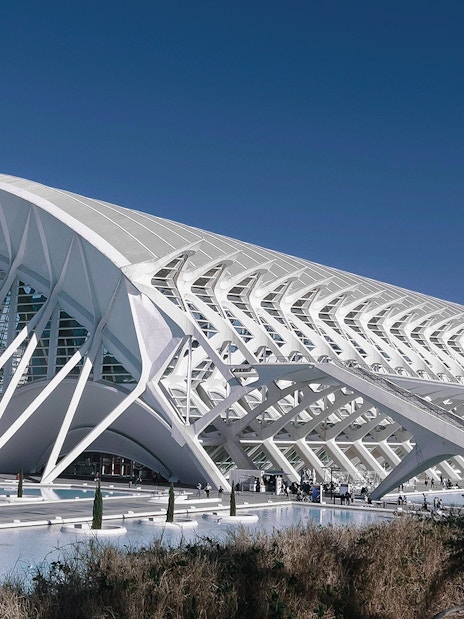 Oceanogràfic and Science Museum architecture in Valencia, Spain.