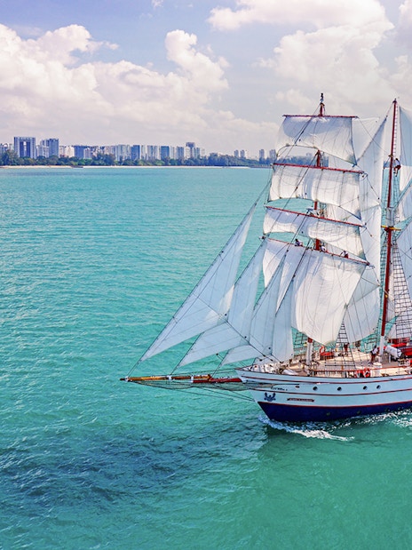 Sailing ship The Royal Albatross on open sea with city skyline in the background.