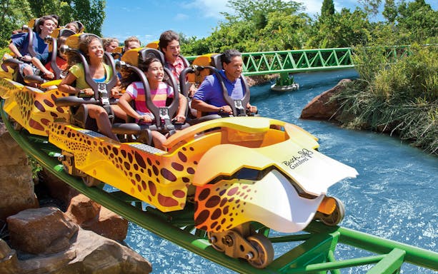 Visitors enjoying a roller coaster at Busch Gardens, Tampa Bay, included in Tampa Bay CityPASS®.