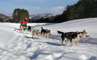 Dogsledding tour through snowy Mont-Tremblant landscape, Montreal.