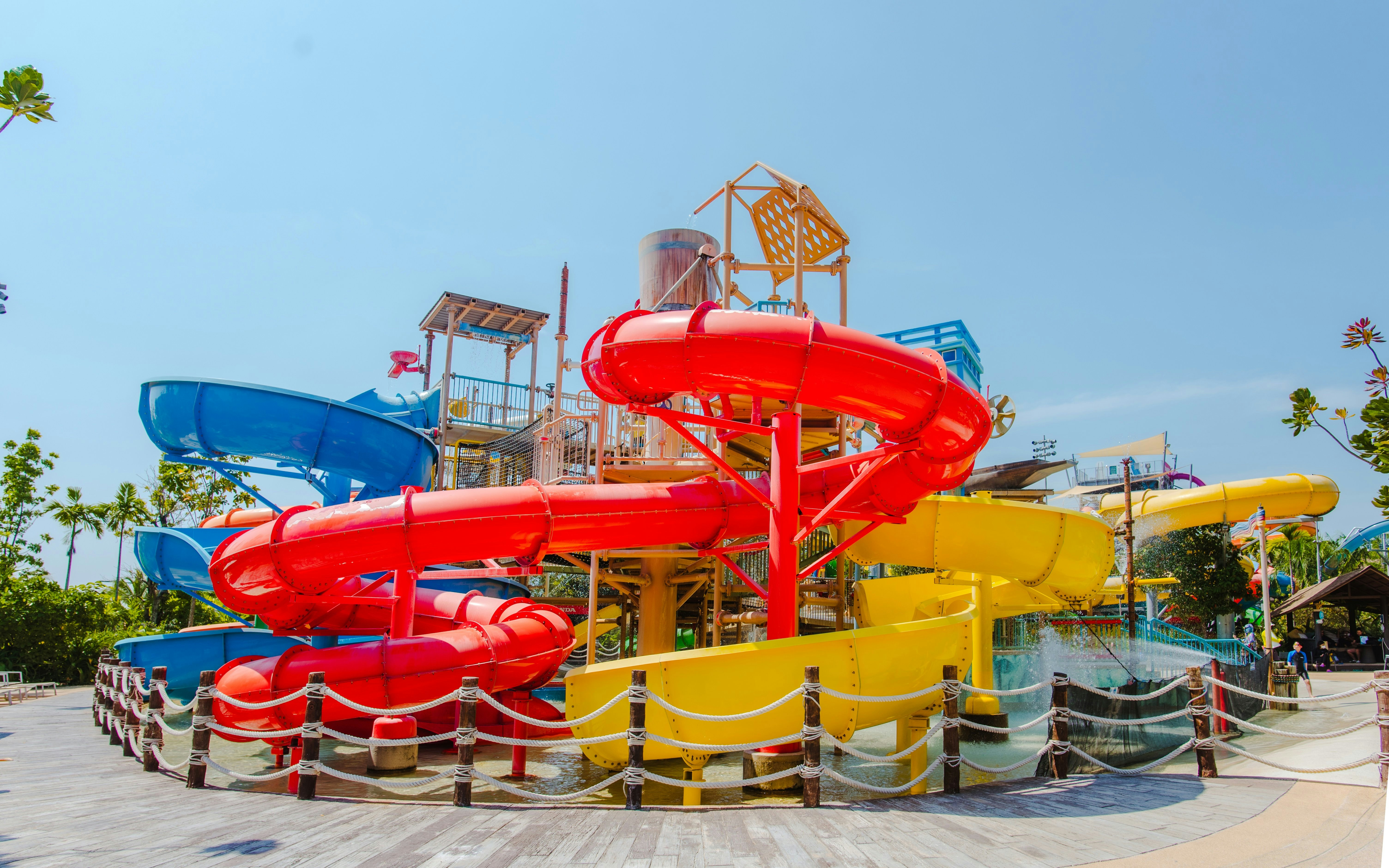 Snake coiled on a branch
