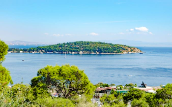 Bosphorus view with boats near Istanbul's lush green island.