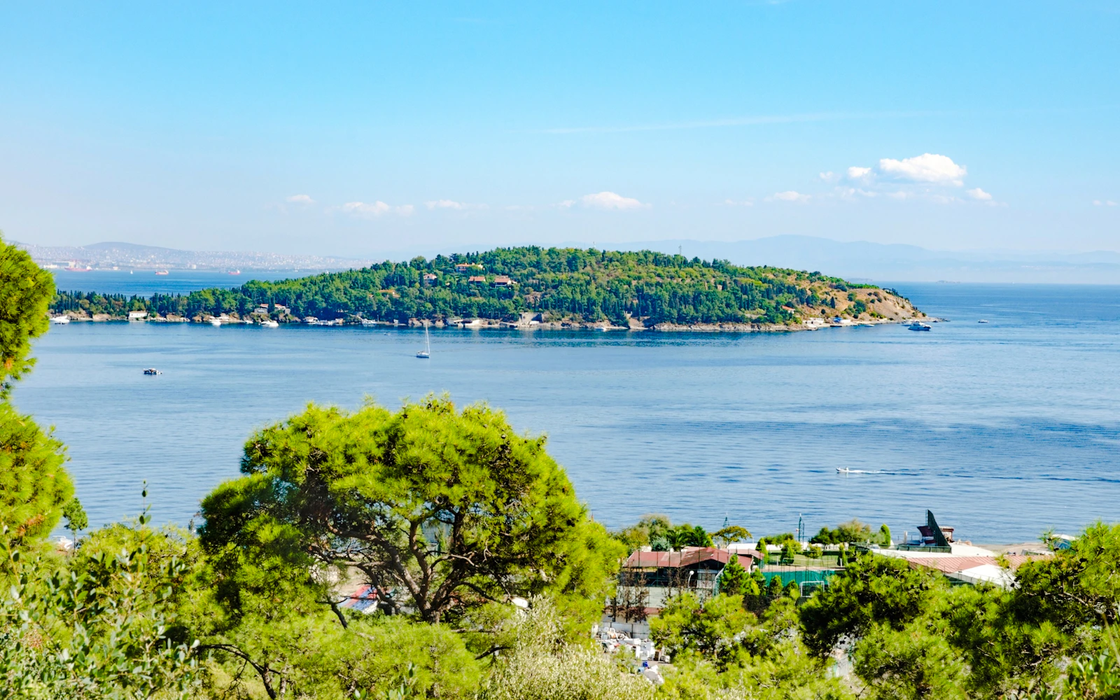 Istanbul Princes' Islands Shared Swimming Yacht Cruise Image 2